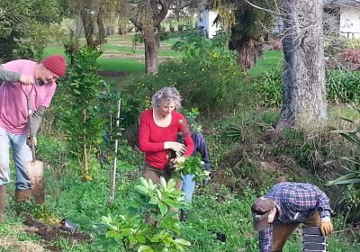 2014 - Wairoa - Planting Day