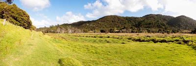 Tangatapu Wetland - Before it all began - 2013